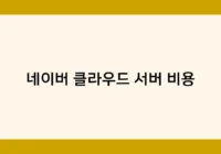 네이버 클라우드 서버 비용 썸네일