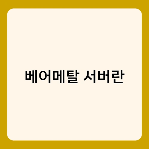 베어메탈 서버란