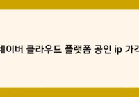 네이버 클라우드 플랫폼 공인 ip 가격 썸네일