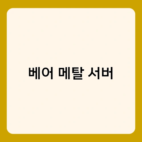 베어 메탈 서버